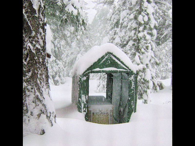 Rhino Shelter | 5'Wx10'Lx8'H Storage Shed
