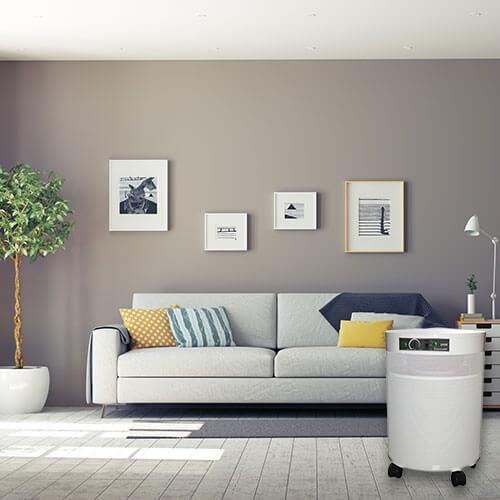 Airpura R-Series - Best General Cleaning All Purpose Air Purifier - R600 and R700