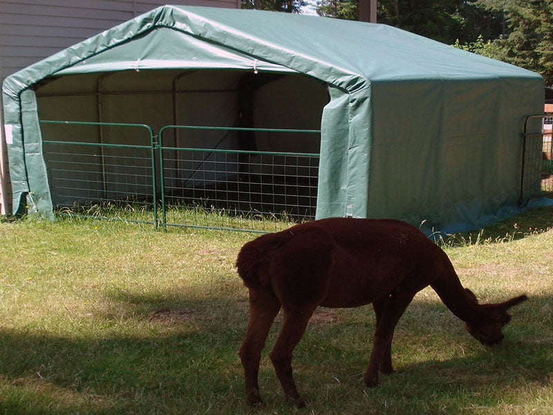 Rhino Shelter | 12’W x 12’L x 8’H Storage Shed (House)