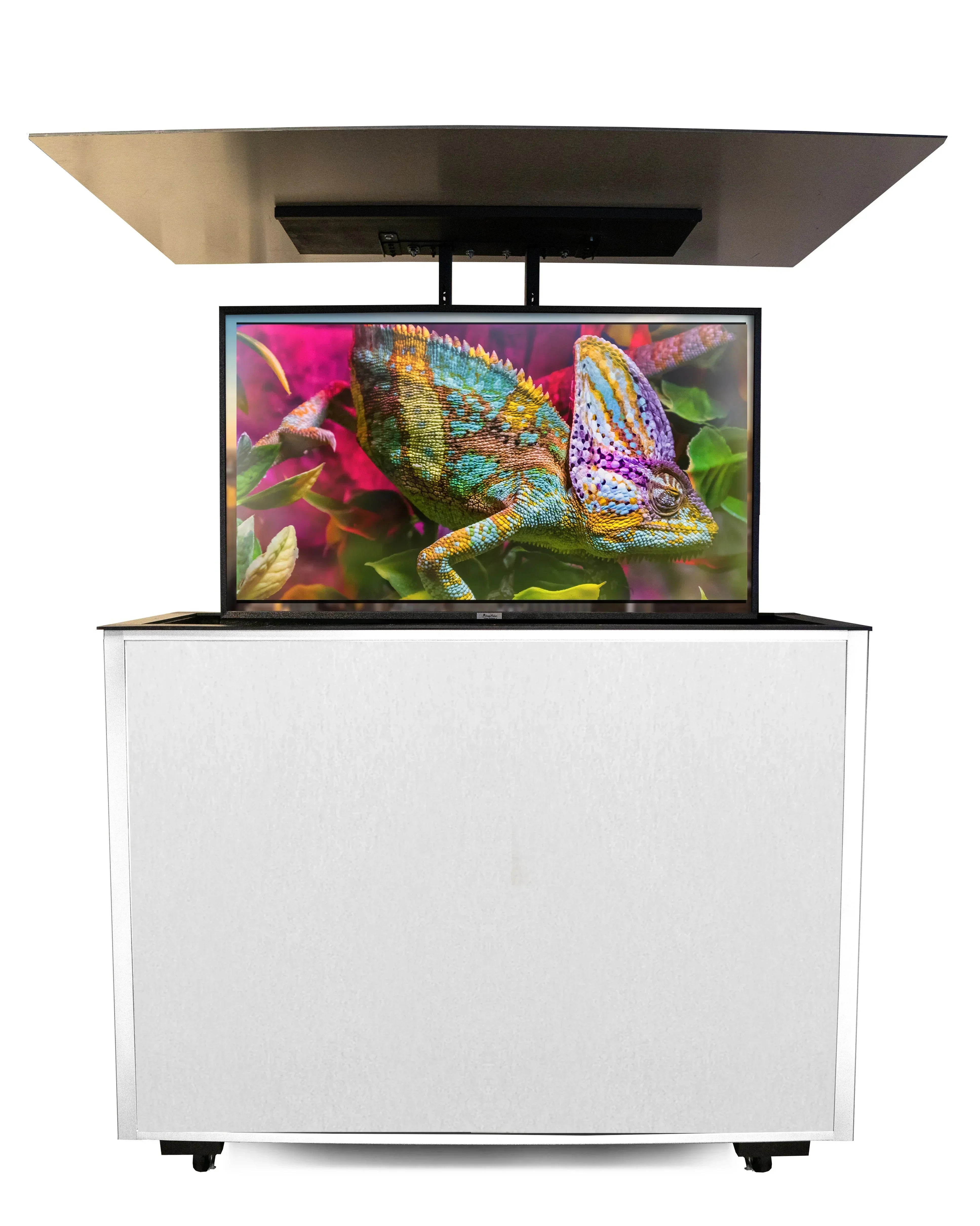 MirageVision 55" Outdoor TV Premium Lift Cabinet