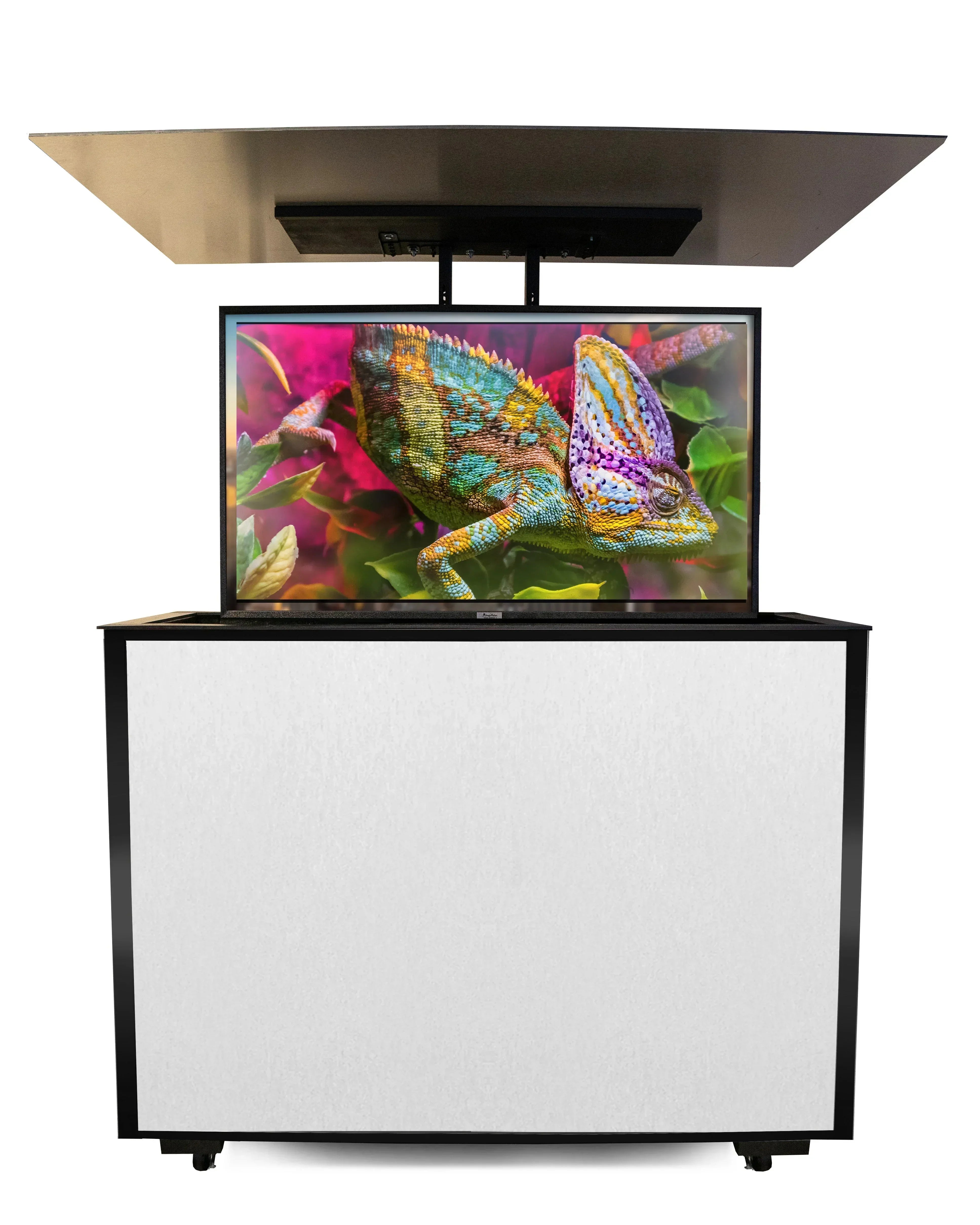 MirageVision 32" Outdoor TV Premium Lift Cabinet