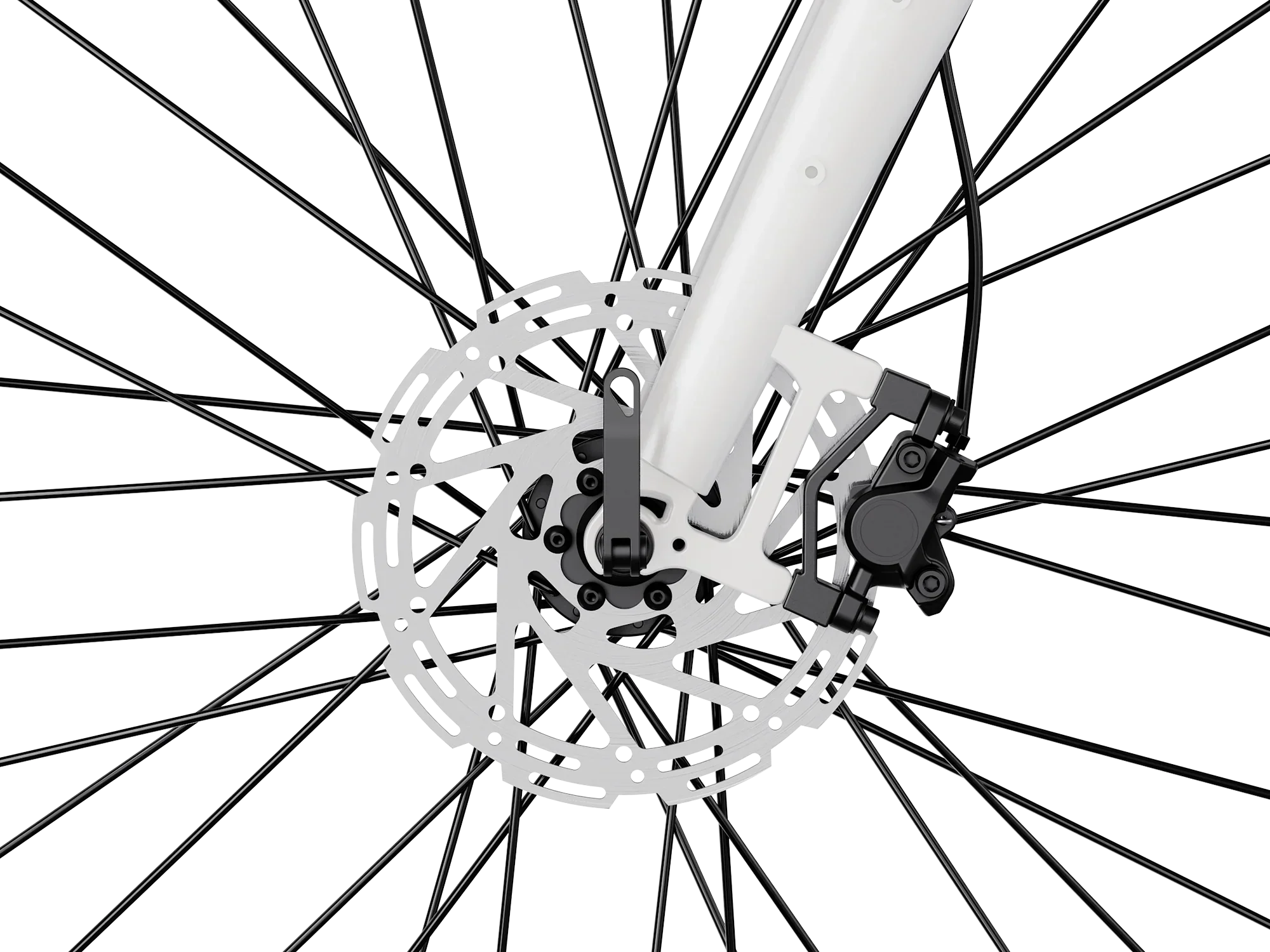 Heybike Venus