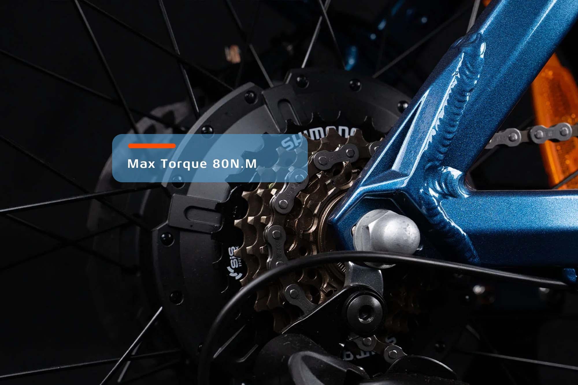 Cyrusher Luxe Fat Tire Electric Bike