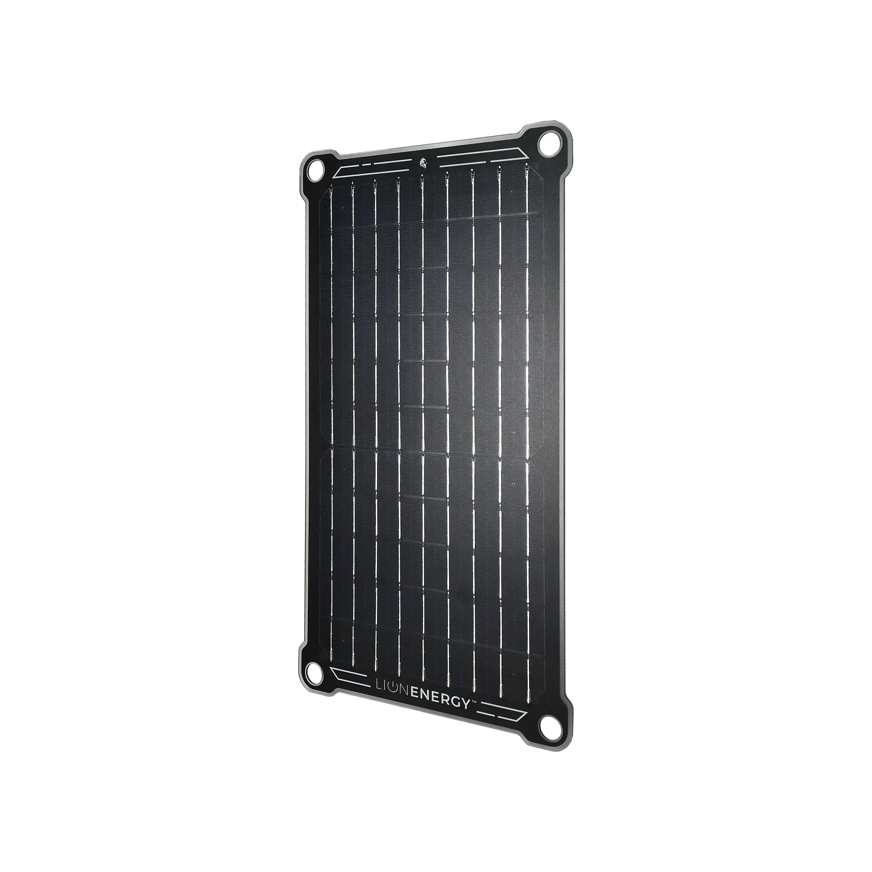 Lion Energy Lion Prowler Travel Kit
