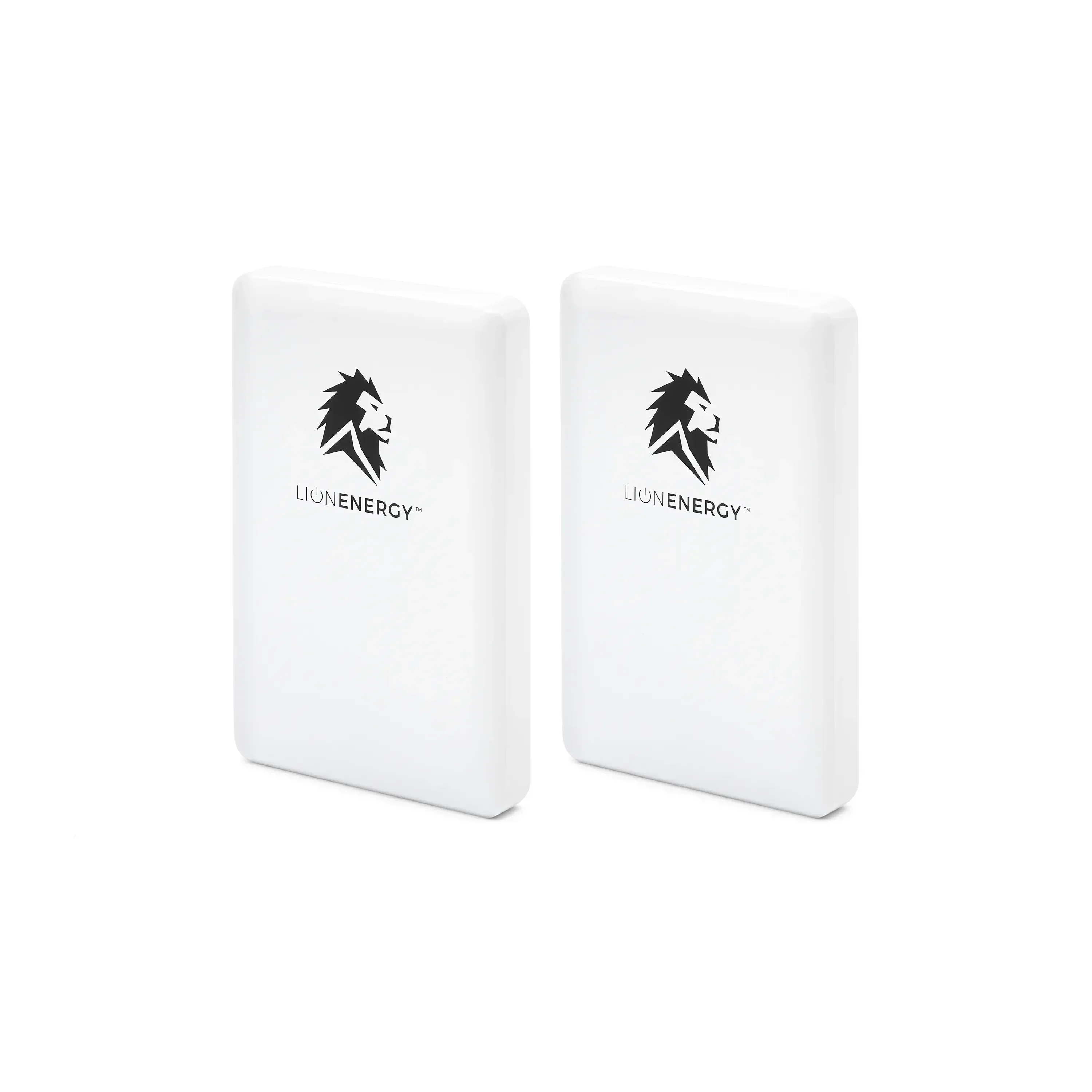 Lion Energy Lion Claw 2-Pack