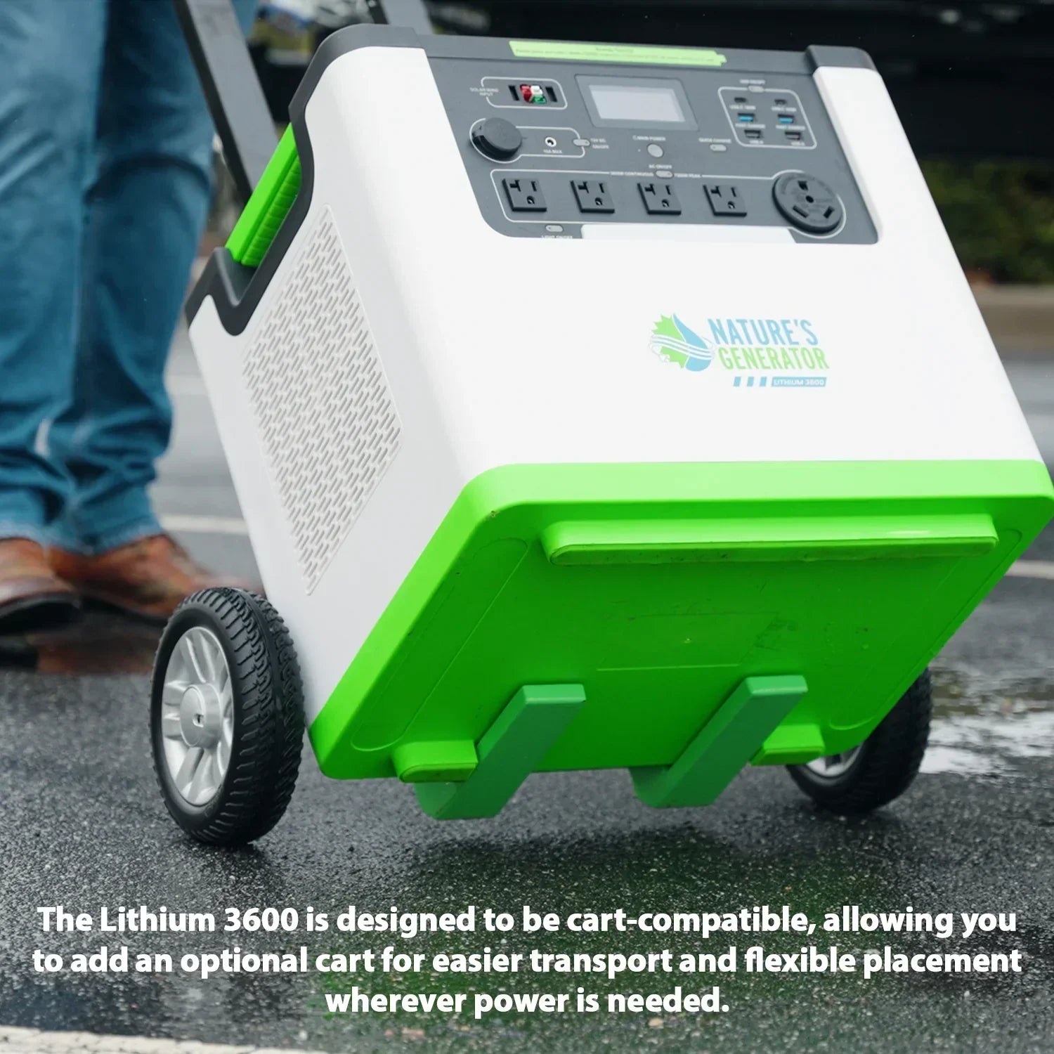 Nature's Generator Lithium 3600 Solar and Wind Generator