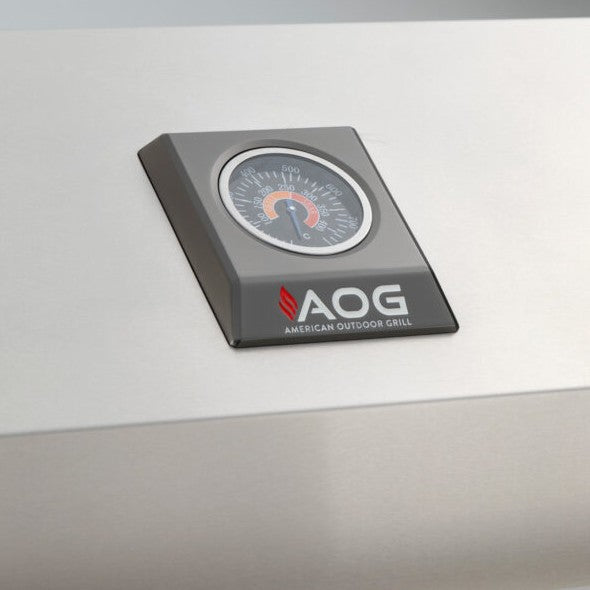 AOG 24" T-Series Built-In Gas Grill - Propane
